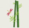 Bamboo