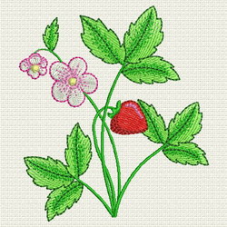 Strawberry 05 (SM) machine embroidery designs