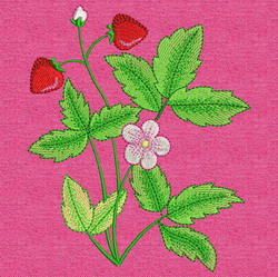 Strawberry 06 (LG) machine embroidery designs