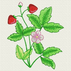 Strawberry 06 (SM) machine embroidery designs