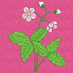 Strawberry 07 (LG) machine embroidery designs