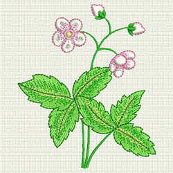 Strawberry 07 (SM) machine embroidery designs