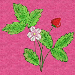 Strawberry 10 (LG) machine embroidery designs