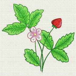 Strawberry 10 (SM) machine embroidery designs