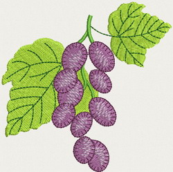 Grapes machine embroidery designs