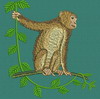 Monkey On the Tree 2