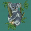 Koala On the Tree 2
