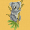 Koala 01