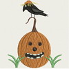 Pumpkin Crow