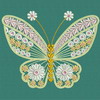 Fancy Butterfly 05
