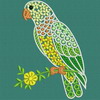 Fancy Parrot 03