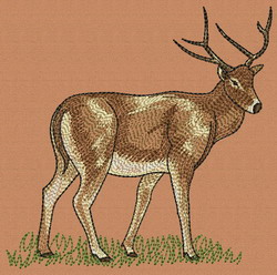 Wild Animal 01 machine embroidery designs