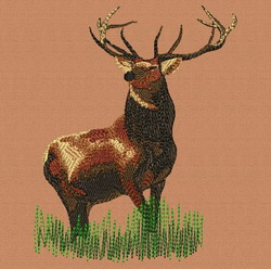Wild Animal 03 machine embroidery designs