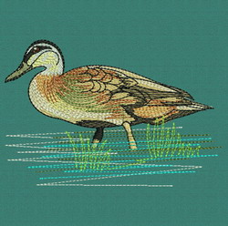 Wild Animal 09 machine embroidery designs