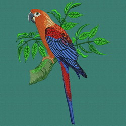 Parrot 01 machine embroidery designs