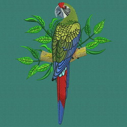 Parrot 03 machine embroidery designs
