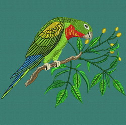 Parrot 04 machine embroidery designs