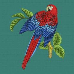 Parrot 05 machine embroidery designs