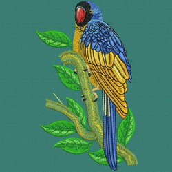 Parrot 08