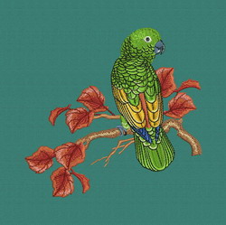 Parrot 09 machine embroidery designs