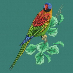 Parrot 10 machine embroidery designs