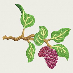 Fruit machine embroidery designs