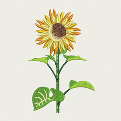 Sunflower machine embroidery designs