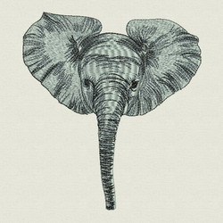 Africa Elephant 03