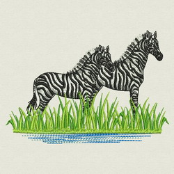 Zebra On River machine embroidery designs