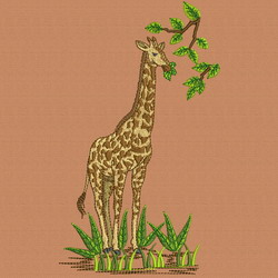 Giraffe Eating machine embroidery designs