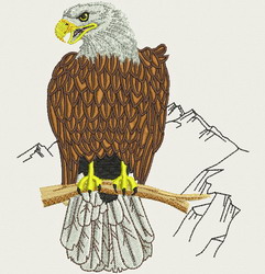 American Eagle 02 machine embroidery designs