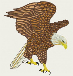 American Eagle 08