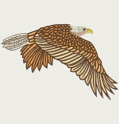 American Eagle 09 machine embroidery designs