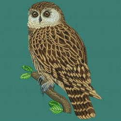 Night Owl machine embroidery designs