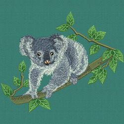 Koala On the Tree 1 machine embroidery designs