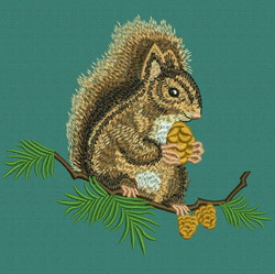 Squirrel On the Tree 2 machine embroidery designs