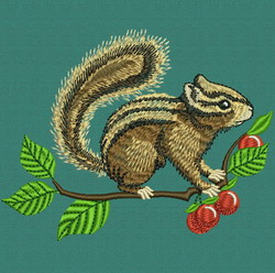 Squirrel On the Tree 3 machine embroidery designs