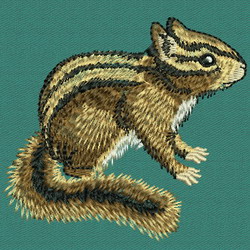Squirrel 1 machine embroidery designs