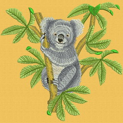 Koala 02