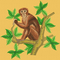 Monkey machine embroidery designs