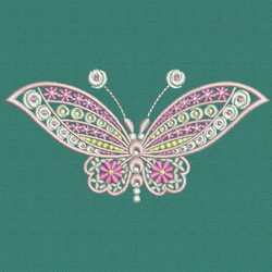 Fancy Butterfly 04