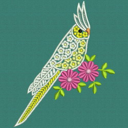 Fancy Parrot 02