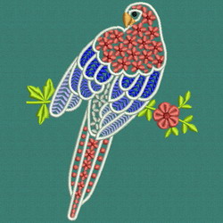 Fancy Parrot 05