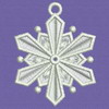 FSL Snowflake 02