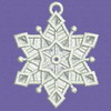 FSL Snowflake 03