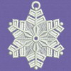 FSL Snowflake 05