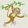Cute Monkey II(LG) 05