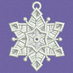 FSL Snowflake 03