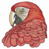 Cute Parrots 3 09(Lg)