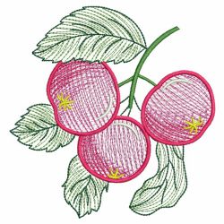 Fresh Fruits 03(Md) machine embroidery designs